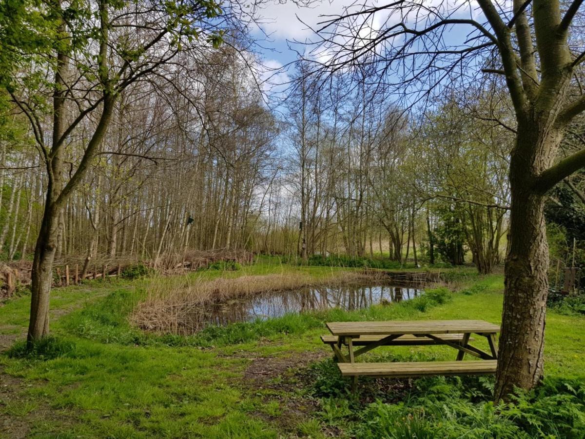 B & B De Tocht Berkhout Esterno foto