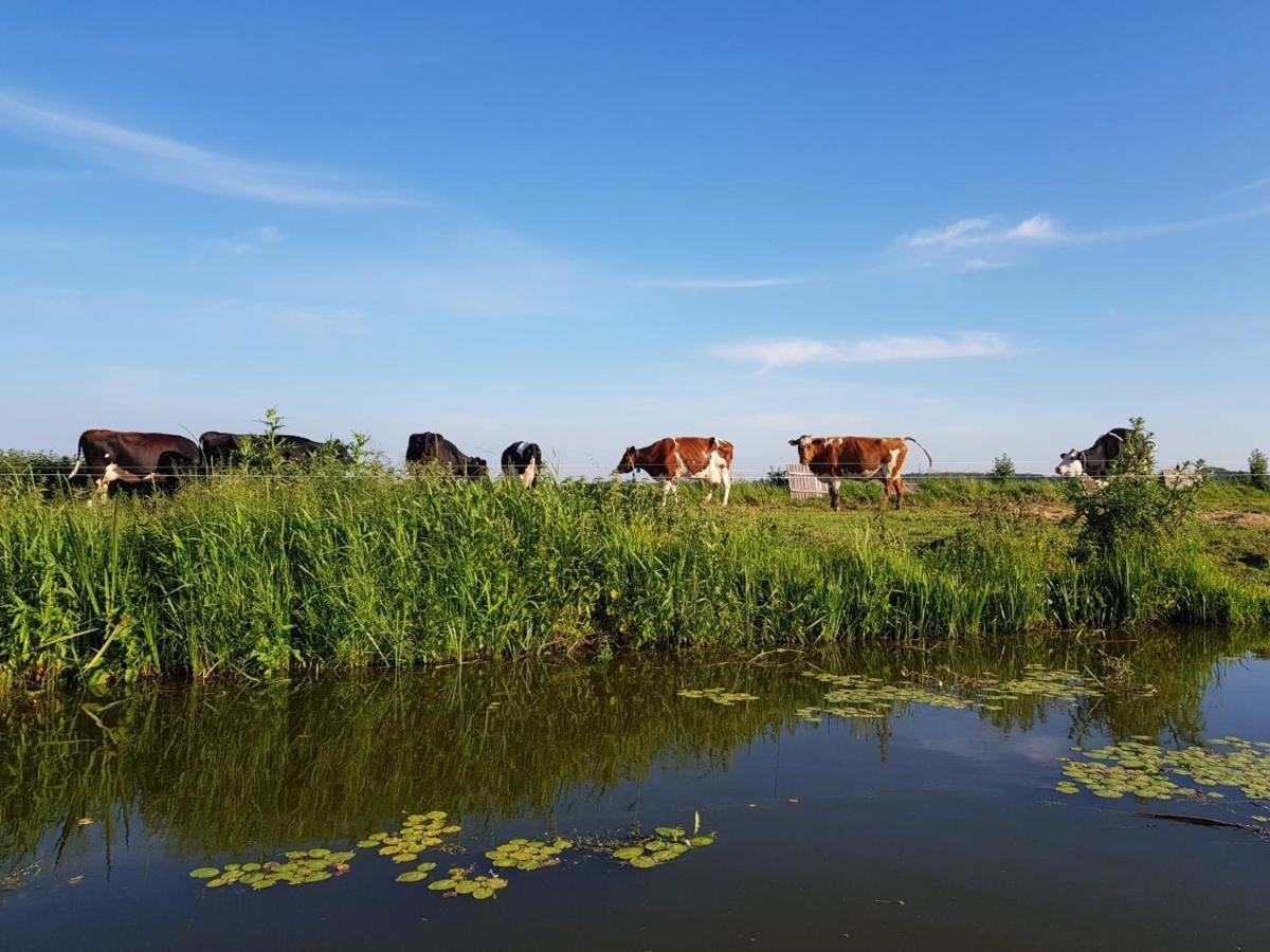 B & B De Tocht Berkhout Esterno foto