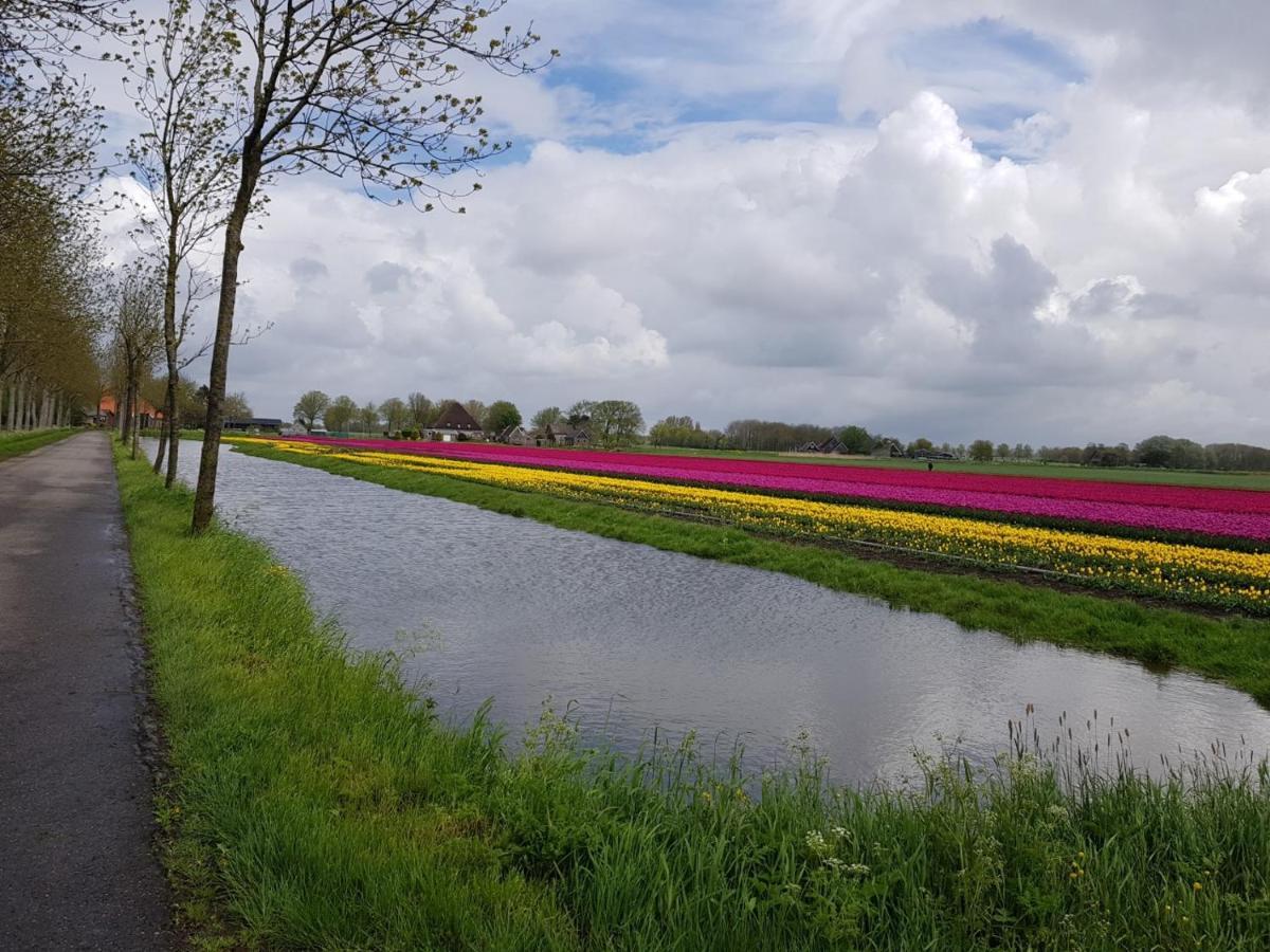 B & B De Tocht Berkhout Esterno foto